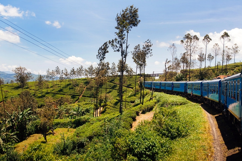 Hill Country Adventure